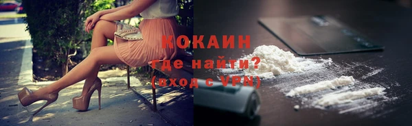 сатива Иннополис