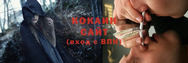 сатива Иннополис