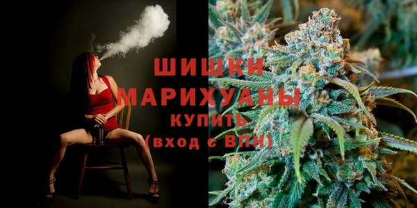 сатива Иннополис