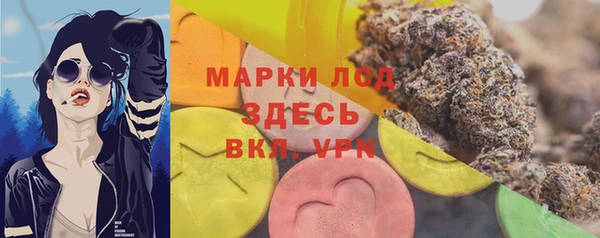 сатива Иннополис