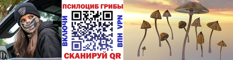 Галлюциногенные грибы Psilocybine cubensis  блэк спрут ONION  Иннополис  даркнет сайт 